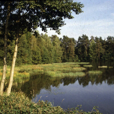 Fisch aus oberfränkischen Teichen