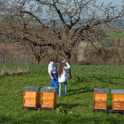 Honig aus Oberfranken