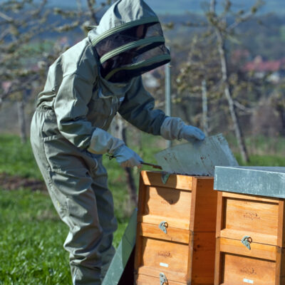 Honig aus Oberfranken