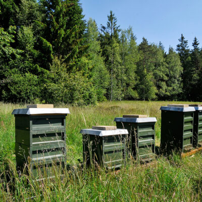 Honig aus dem Fichtelgebirge