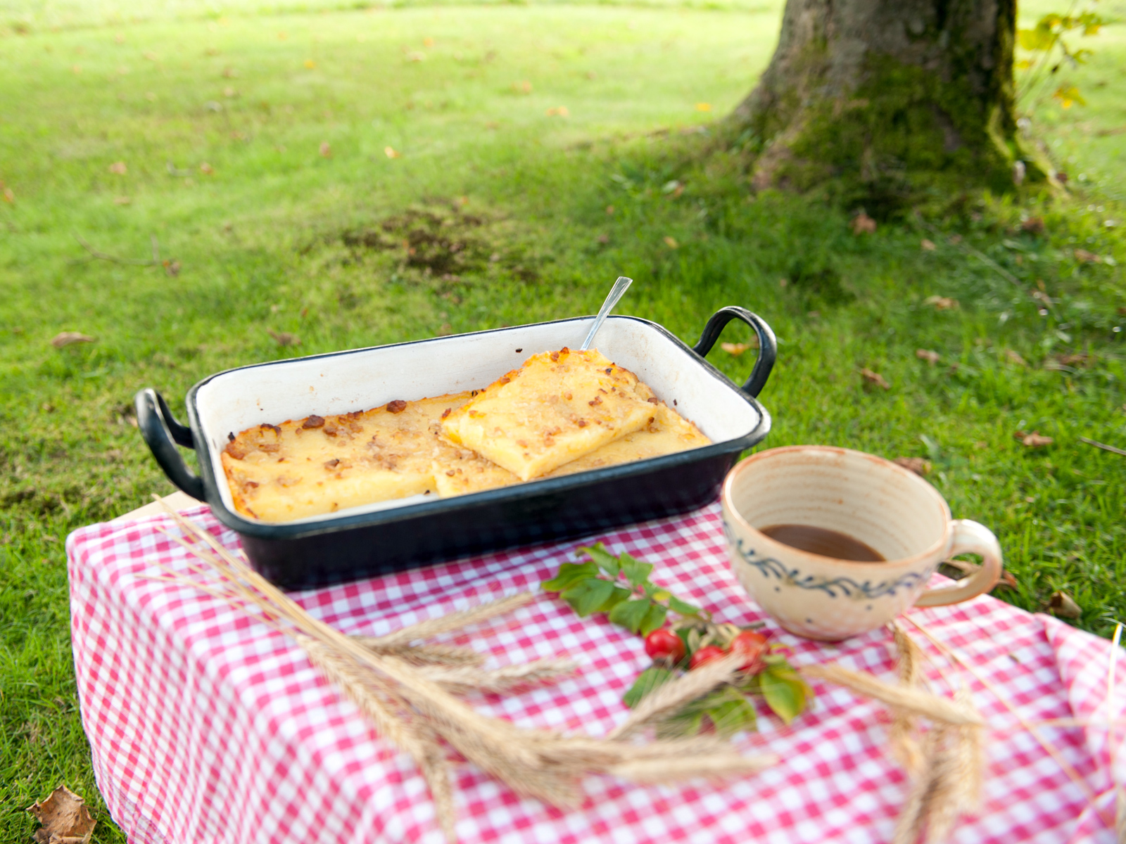 Kartoffelkuchen mit Speck - Genussregion Oberfranken