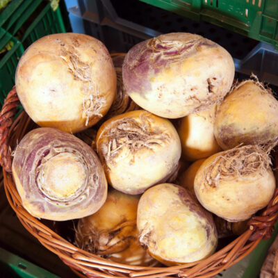 Kohlrübe, Erdkohlrabi