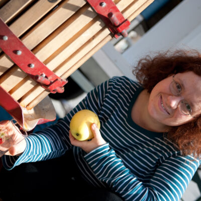 Obst von Streuobstwiesen aus Oberfranken