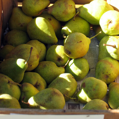 Obst von Streuobstwiesen aus Oberfranken