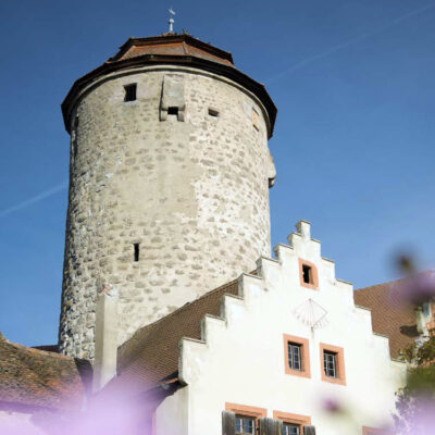 Stadt – Land – Fluss – Eine Genusstour im Bamberger Land