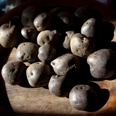 schwarzblaue Frankenwald-Kartoffel