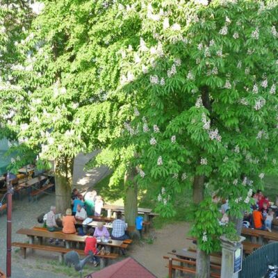 Gasthaus Schloßbräu, Reckendorf