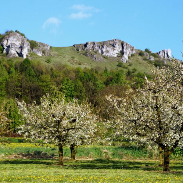 Genussort Rund ums Walberla