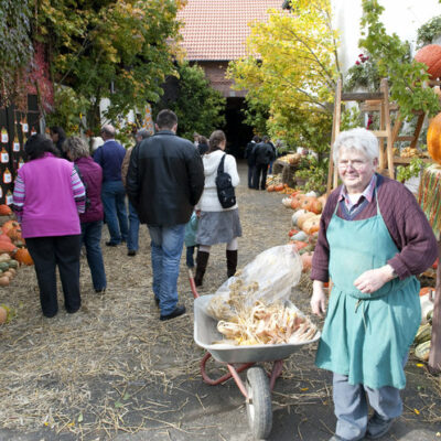 Altendorf: Zum Kürbisfest ins Kürbisdorf