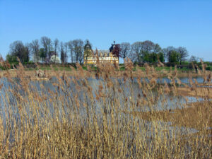 Fische aus Oberfranken