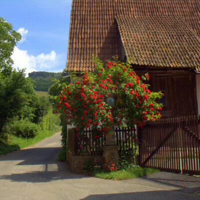 Bad Staffelstein: Pilgern, Wandern und Wallfahren rund um die Adam Riese Stadt