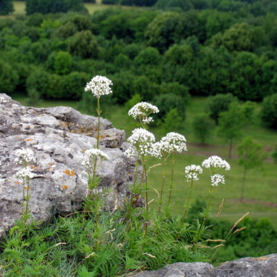 Bad Staffelstein: Pilgern, Wandern und Wallfahren rund um die Adam Riese Stadt