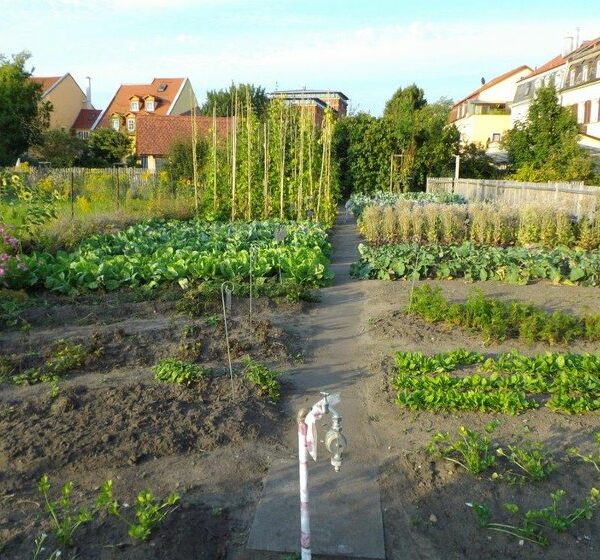 Bamberg: Besuch im Sortengarten und in der Gemüsekochschule