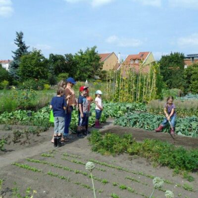 Bamberg: Besuch im Sortengarten und in der Gemüsekochschule