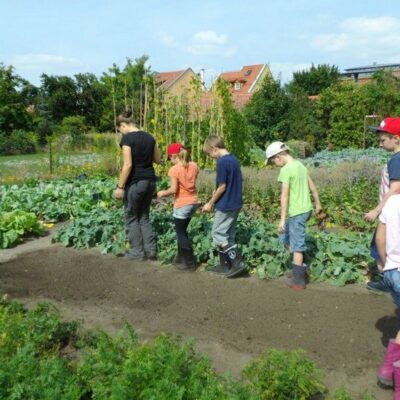 Bamberg: Besuch im Sortengarten und in der Gemüsekochschule