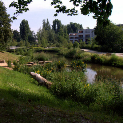 Bamberg: Von Fischpass bis Fischerstechen - Flusserlebnis