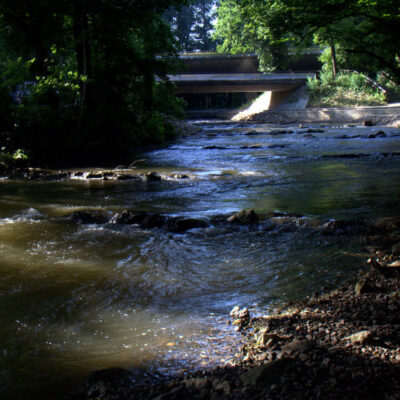 Bamberg: Von Fischpass bis Fischerstechen - Flusserlebnis