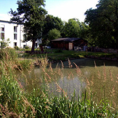 Bamberg: Von Fischpass bis Fischerstechen - Flusserlebnis