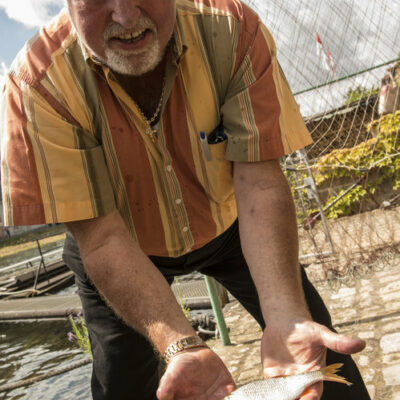 Bamberg: Von Fischpass bis Fischerstechen - Flusserlebnis