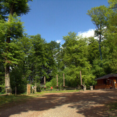 Banz: Waldhaus und Waldklettergarten