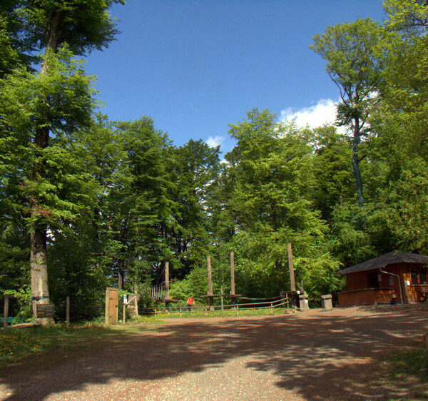 Banz: Waldhaus und Waldklettergarten