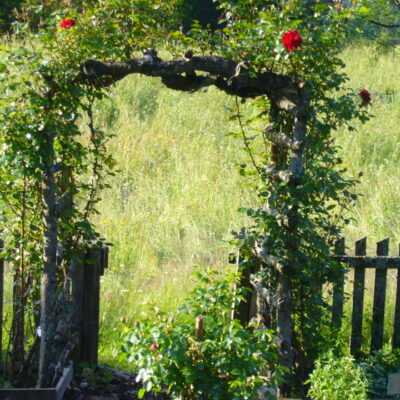 Birnstengel: Natur- und Kräuterhof Karin Holleis