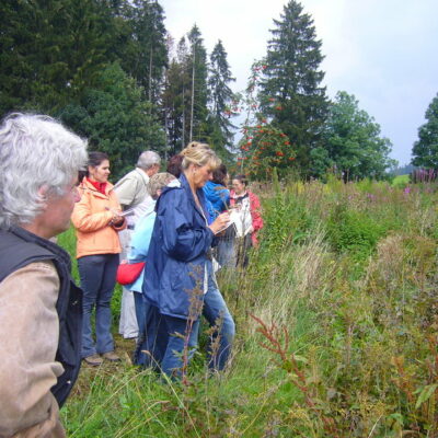 Birnstengel: Natur- und Kräuterhof Karin Holleis