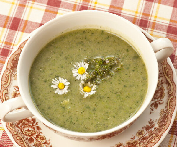 Bischofsgrün: Kräutersammeln für die Gründonnerstagsuppe