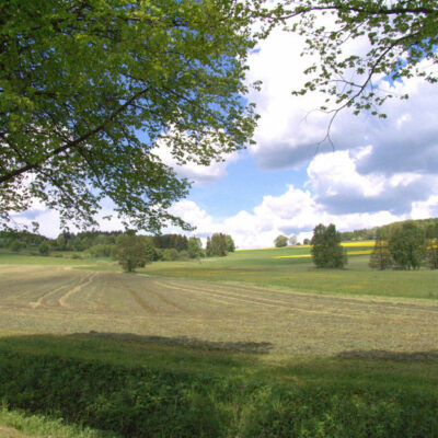 Bobengrün: Wanderung durch das Froschbachtal