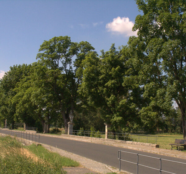 Burgebrach: VGN-Tour: Auf dem Kunigundenweg