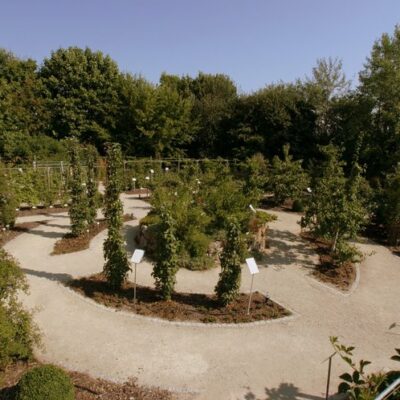 Coburg: Obstlehrgarten des Coburger Landes