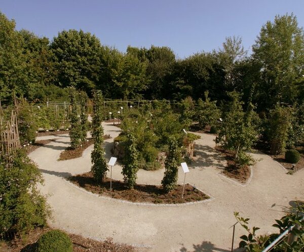 Coburg: Obstlehrgarten des Coburger Landes