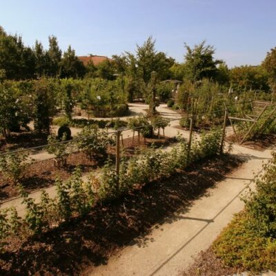 Coburg: Obstlehrgarten des Coburger Landes