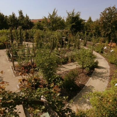 Coburg: Obstlehrgarten des Coburger Landes