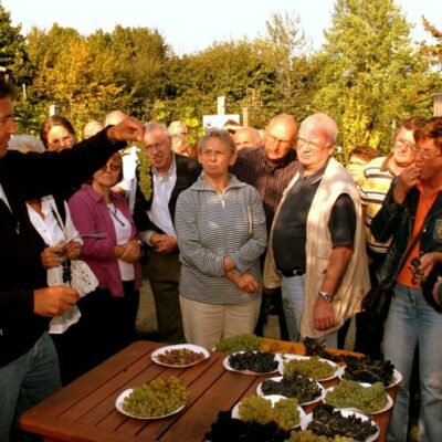 Coburg: Obstlehrgarten des Coburger Landes