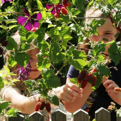 Coburg: Obstlehrgarten des Coburger Landes