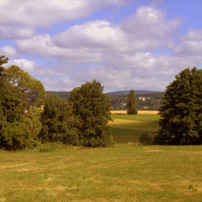 Fichtelgebirge (Naturpark): Pflanze des Monats