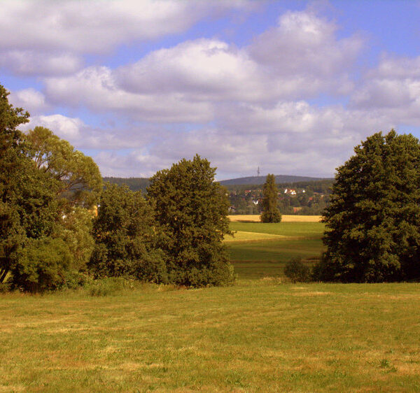 Fichtelgebirge (Naturpark): Pflanze des Monats