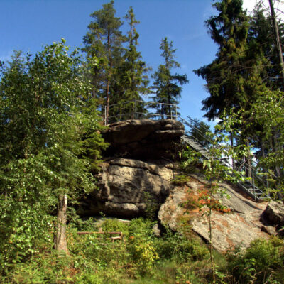 Fichtelgebirge (Naturpark): Pflanze des Monats