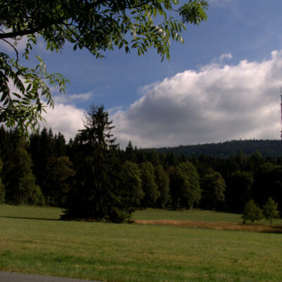 Fichtelgebirge (Naturpark): Pflanze des Monats