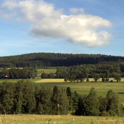 Fichtelgebirge (Naturpark): Pflanze des Monats