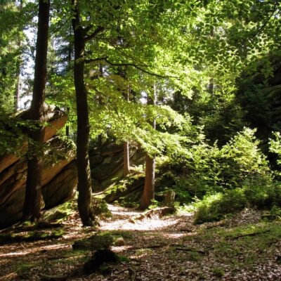 Fichtelgebirge: Wilde Wochen im Fichtelgebirge