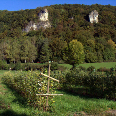 Fränkische Schweiz: Scharfe Wochen