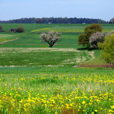 Frankenwald (Naturpark): Vie(h)lfalt Frankenwald