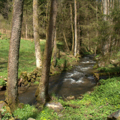 Goldene Adlerhütte: Naturlehrpfad und bergbaukundlicher Lehrpfad im Kosertal