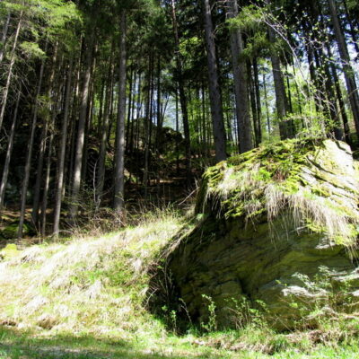 Goldene Adlerhütte: Naturlehrpfad und bergbaukundlicher Lehrpfad im Kosertal