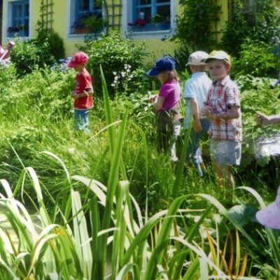 Goldkronach: Kräuter(ver)führungen mit Heike Ehl