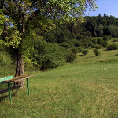 Haßberge: Wandern zwischen Weingenuss und Bierkultur - Erlebnistour vom Kreuzberg bei Dörfleins zur Helenenkapelle und den Bierkellern bei Kemmern