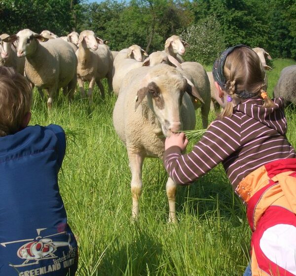 Heinershof in Stolzenroth: Lernen mit Kopf, Herz und Kartoffel