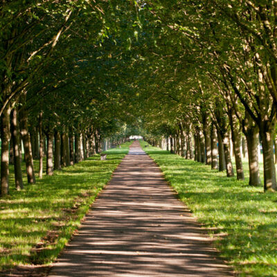 Himmelkron: Promenieren auf der Baille-Maille-Allee